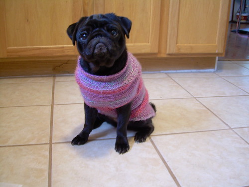 Meiby in her sweater
