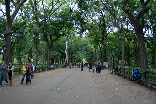 Stereotypical Central Park Shot