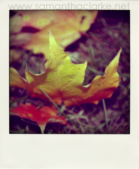 Fall.