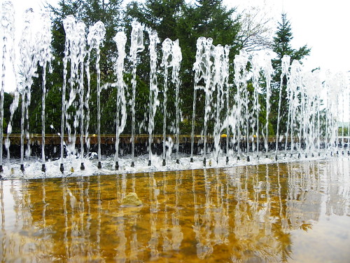 Chicago Botanic Garden - WATER
