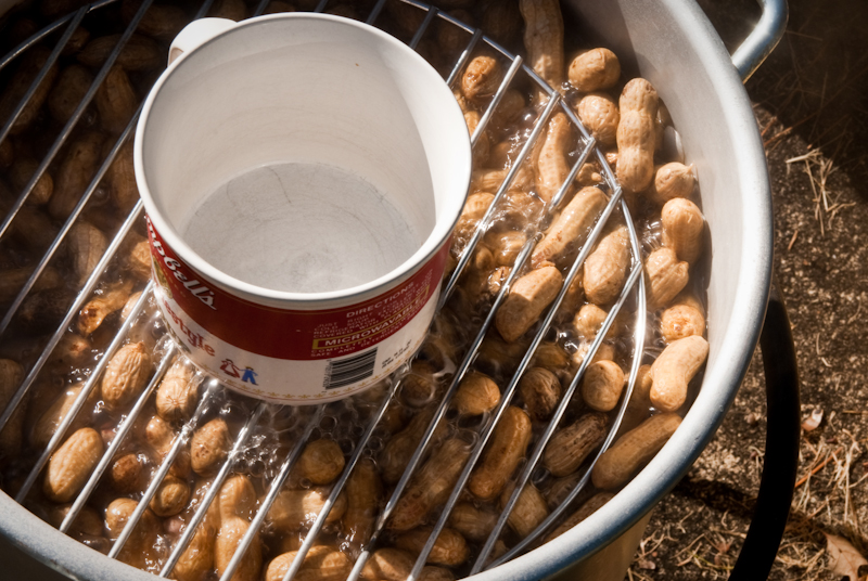 Day 48: Boiled Peanuts