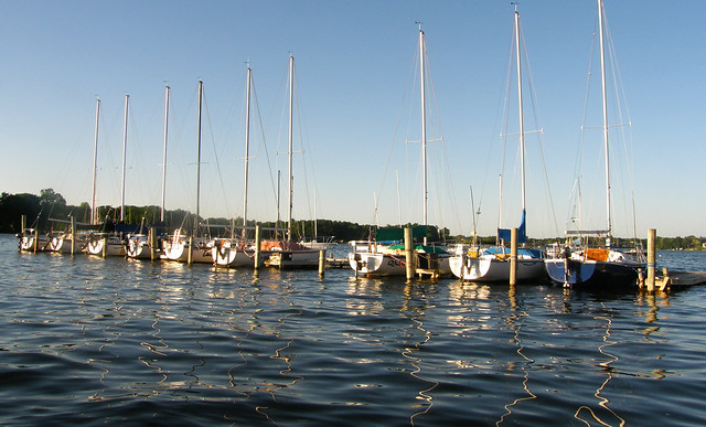Row of boats