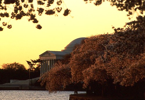 Jefferson Memorial at Sunrise