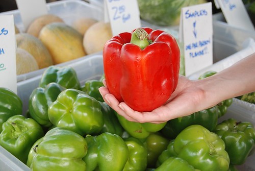 farmers' market red bell pepper