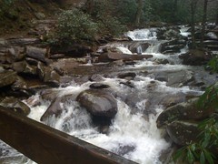  Creek on Chimney Tops Trail 2