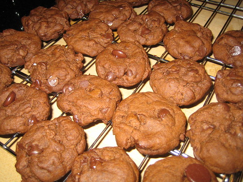 double-chocolate gingersnaps