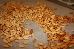 Toasted Pine Nuts (Photo by Frances Wright)