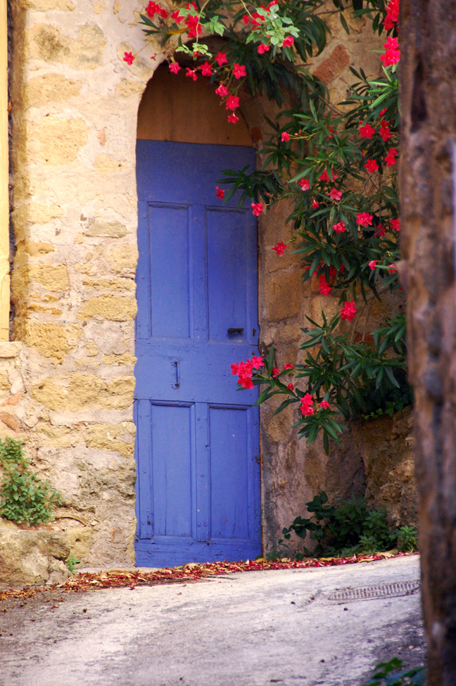 Title: Blue door with pink flowers digital photograph
