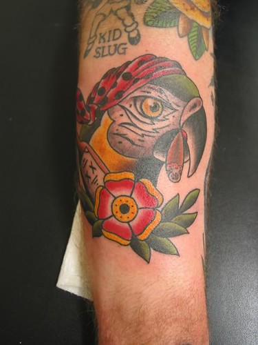 parrot tattoo. parrot tattoo victoria bc