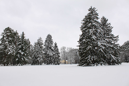 Snow in the Park