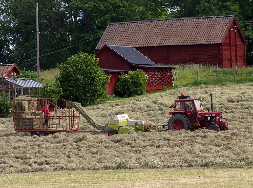 Hay Harvesting