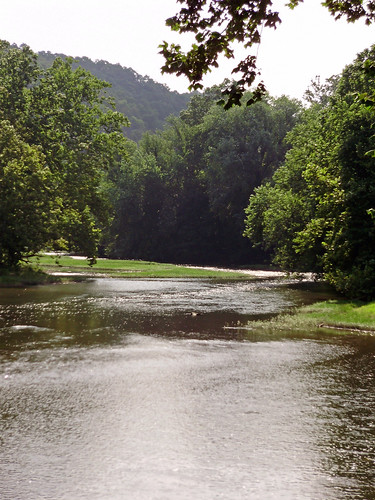 Down river S. Branch of Potomac