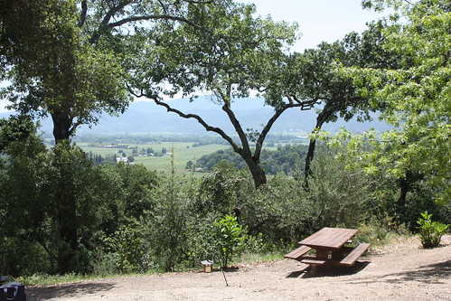 View of the Napa Valley from Rutherford Winery