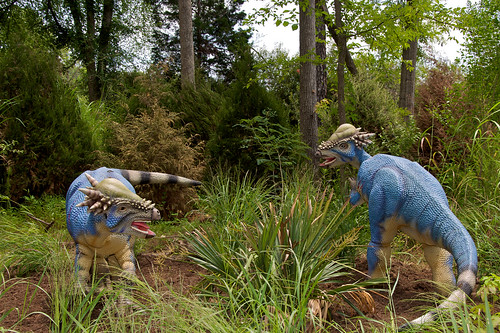 Pictures Of Dinosaurs Fighting. fighting dinosaurs