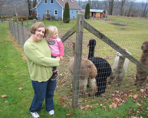 Allison & Eva with Alpacas