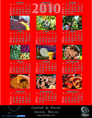 2010 calendar (red)