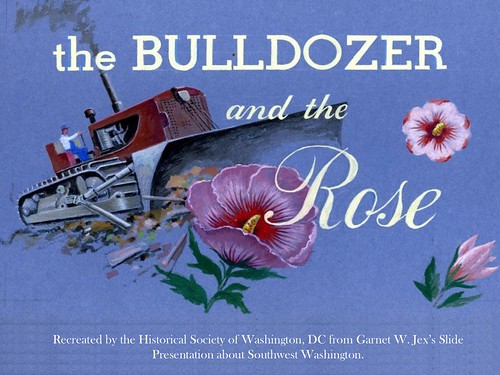 Bulldozer-and-the-Rose