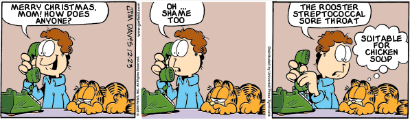 Garfield: Lost in Translation, December 23, 2009