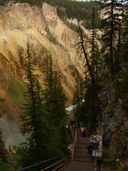 Into the Grand Canyon of the Yellowstone
