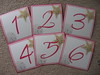 Pink Beach Themed Seashell Starfish Wedding Table Numbers