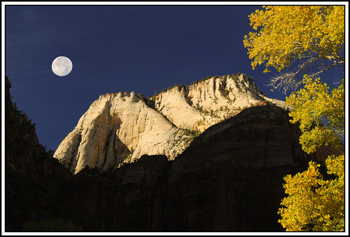 ZION WHITE THRONE AND MOON