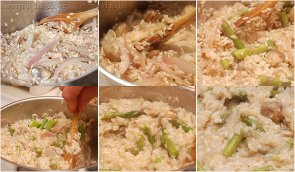 Phases of Risotto