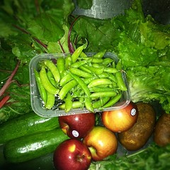 This week's share from Corbin Hill Farm Road modified CSA