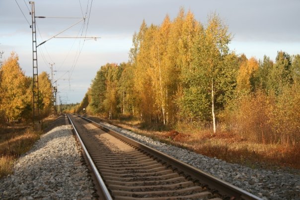 autumn 2009