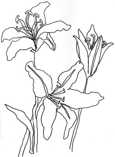 These stargazer lillies are very easy to draw just like most organic floral