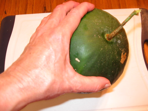 My First Melon