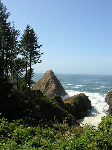 A view from Heceta Head Lighthouse