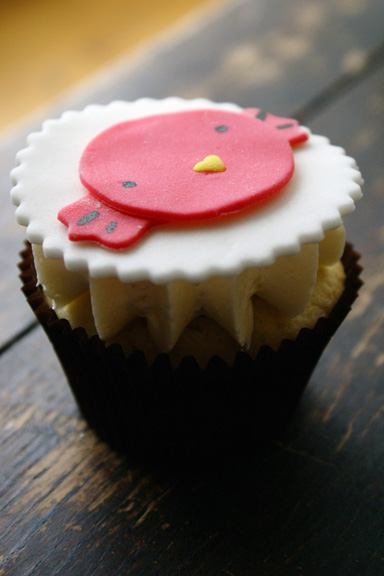 hi cupcake birdy!