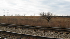 Illinois November prairie landscape. Morton Grove Illinois. November 2009.