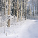 Winter Playground by - Ashley E. -