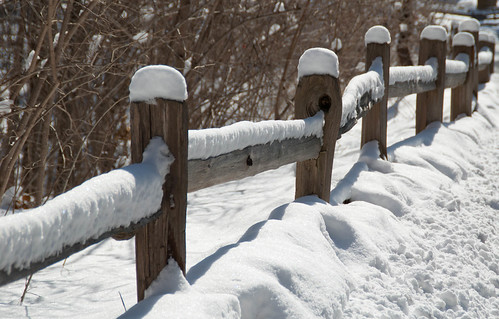 56/365 Snowy fence
