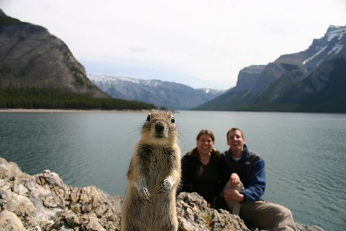 Thumb La foto viral del Crasher Squirrel