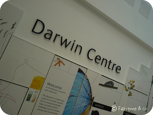 Darwin Centre #01