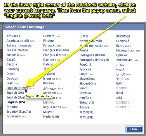 Facebook - Change to Pirate English