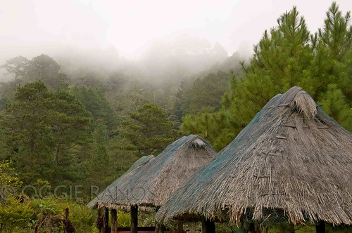 Banaue Ethnic Village Huts and Mountains