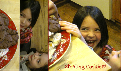 stealing cookies