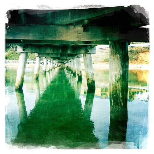 Under the jetty. Day 173/365.