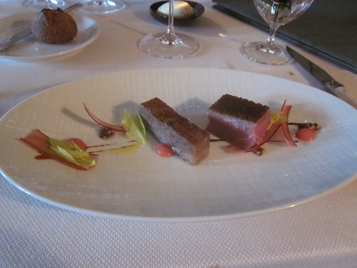 Restaurant at Meadowood - St. Helena, CA - June 2011 - Chermoula Rubbed Duck (Five North African spices), Raw Rhubard, Mustard Seeds, Celery Leaf