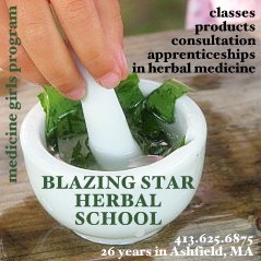 Blazing Star Herbal School in Ashfield, MA