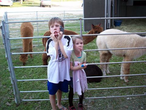 Lorelei and Micci with Alpacas