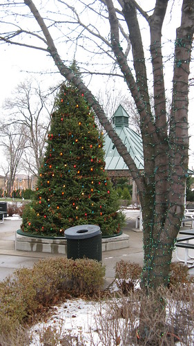 December in Central Park. Elmwood Park Illinois. 2009.