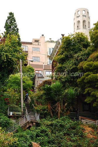 Stairways to Coit Tower