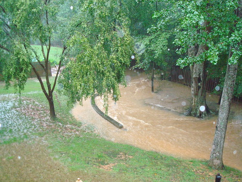 Our "River" - the fence in the back has fallen down
