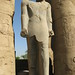 Temple of Luxor, Great Court of Ramesses II (15) by Prof. Mortel