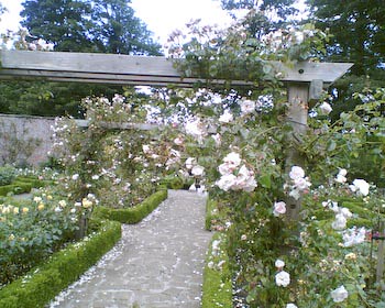 Rose Garden - Sewerby Hall