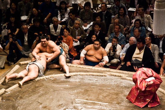 sumo_wrestling_5862